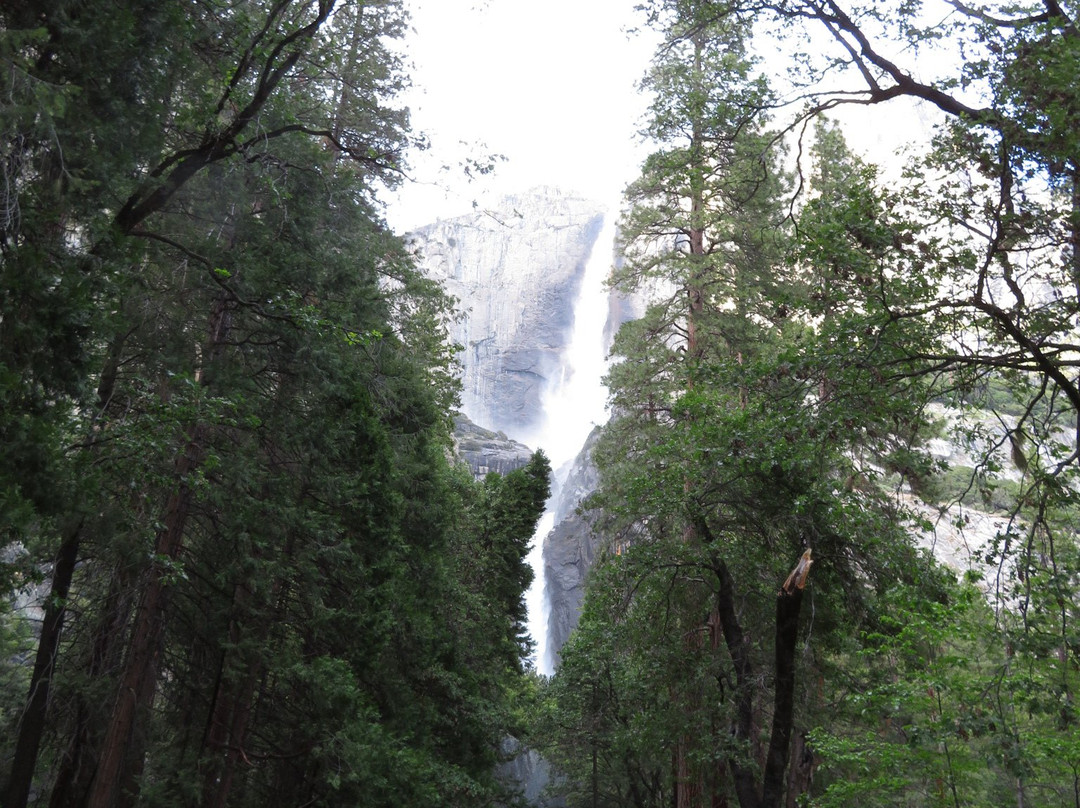 Lower Yosemite Fall Trail景点图片