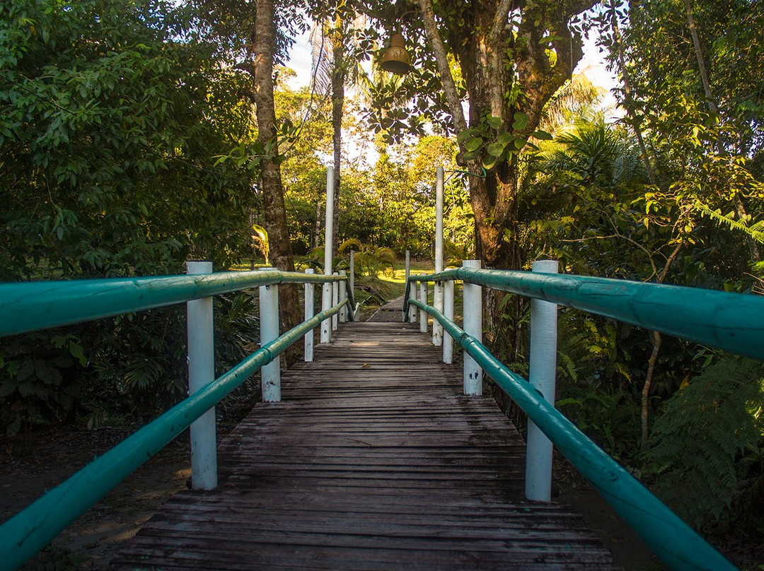 Hotel y Cabanas Costa Real主图