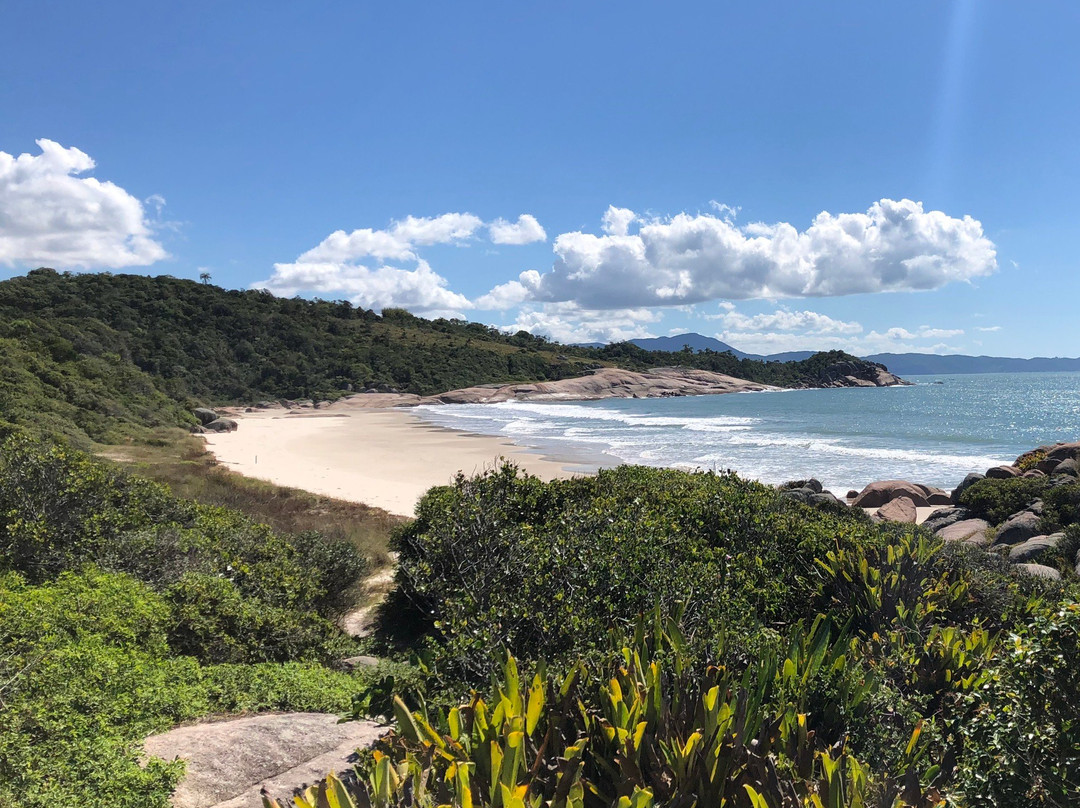 Fora Beach-Governador Celso Ramos必去景点