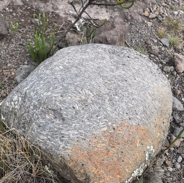 Xtrym Adventures & Safaris-内罗毕必去景点