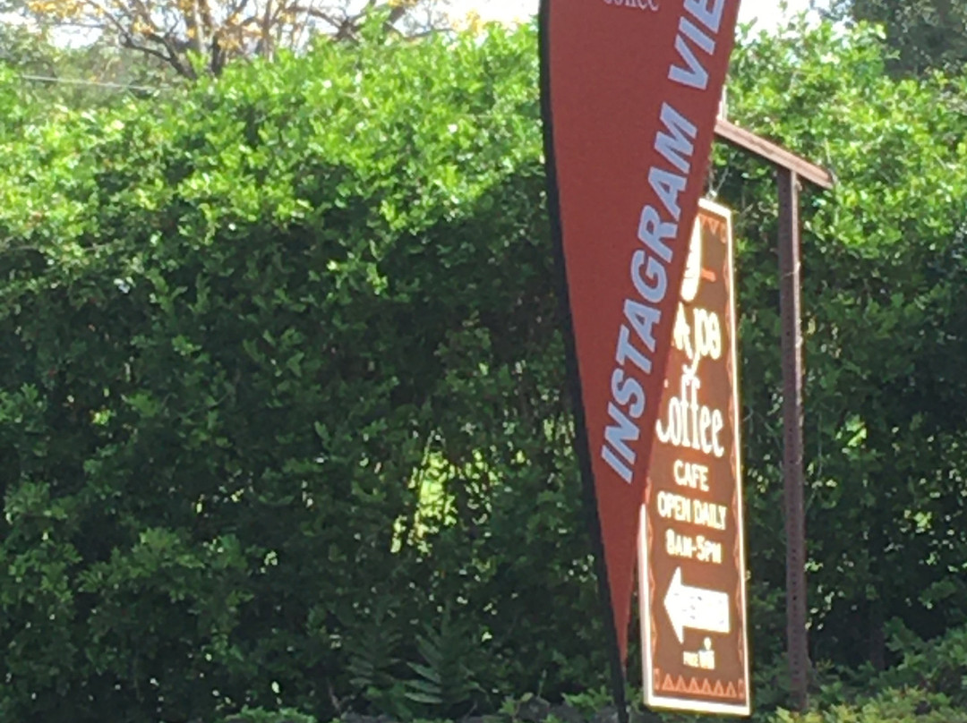 科纳杰咖啡-基亚拉凯库亚必去景点