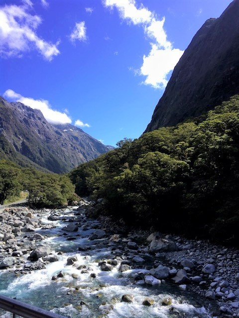 Milford sound Hwy景点图片