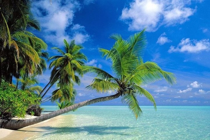 Unique Zanzibar Tours-桑给巴尔岛必去景点