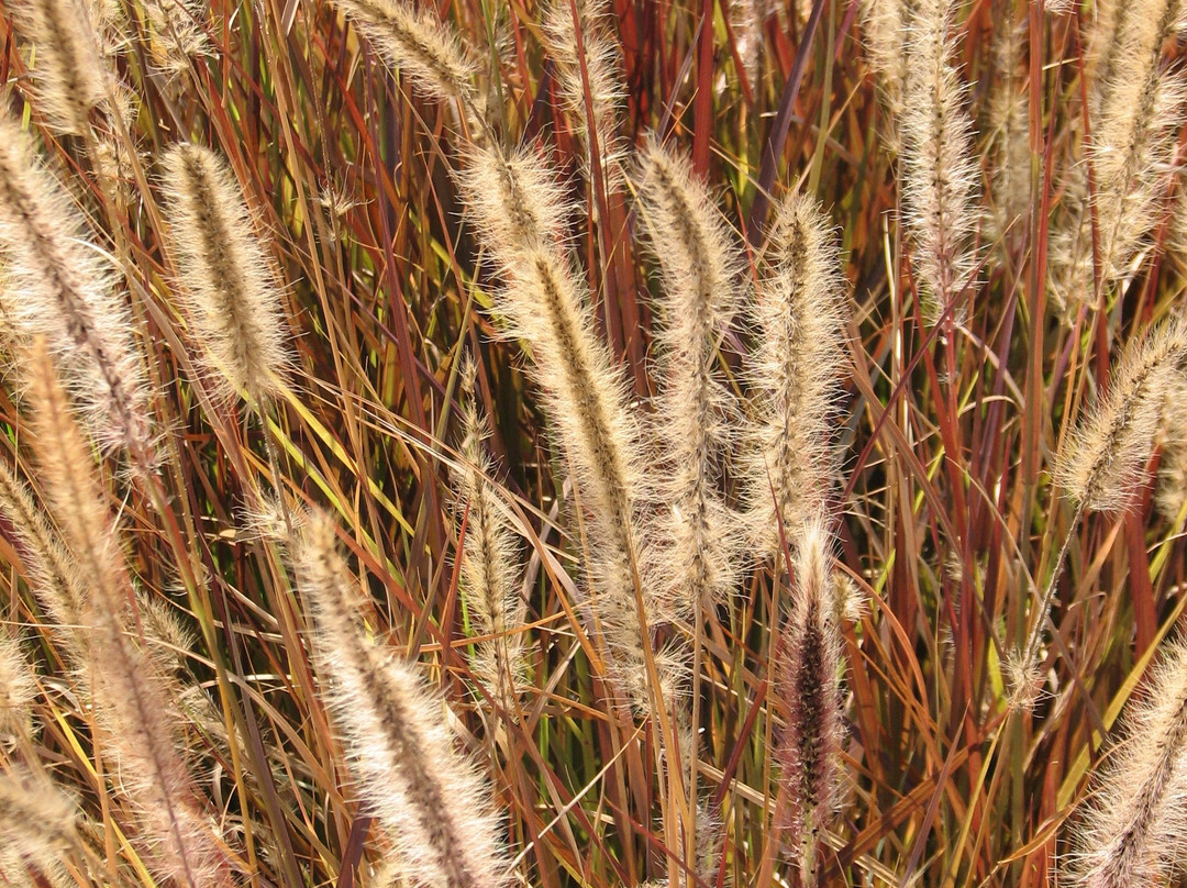 Eshkol Park-贝尔谢巴必去景点