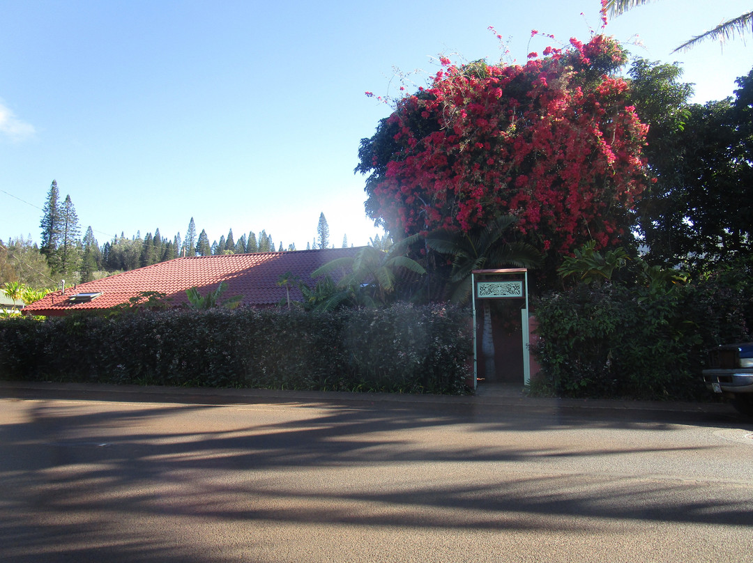 Dreams Come True B & B主图