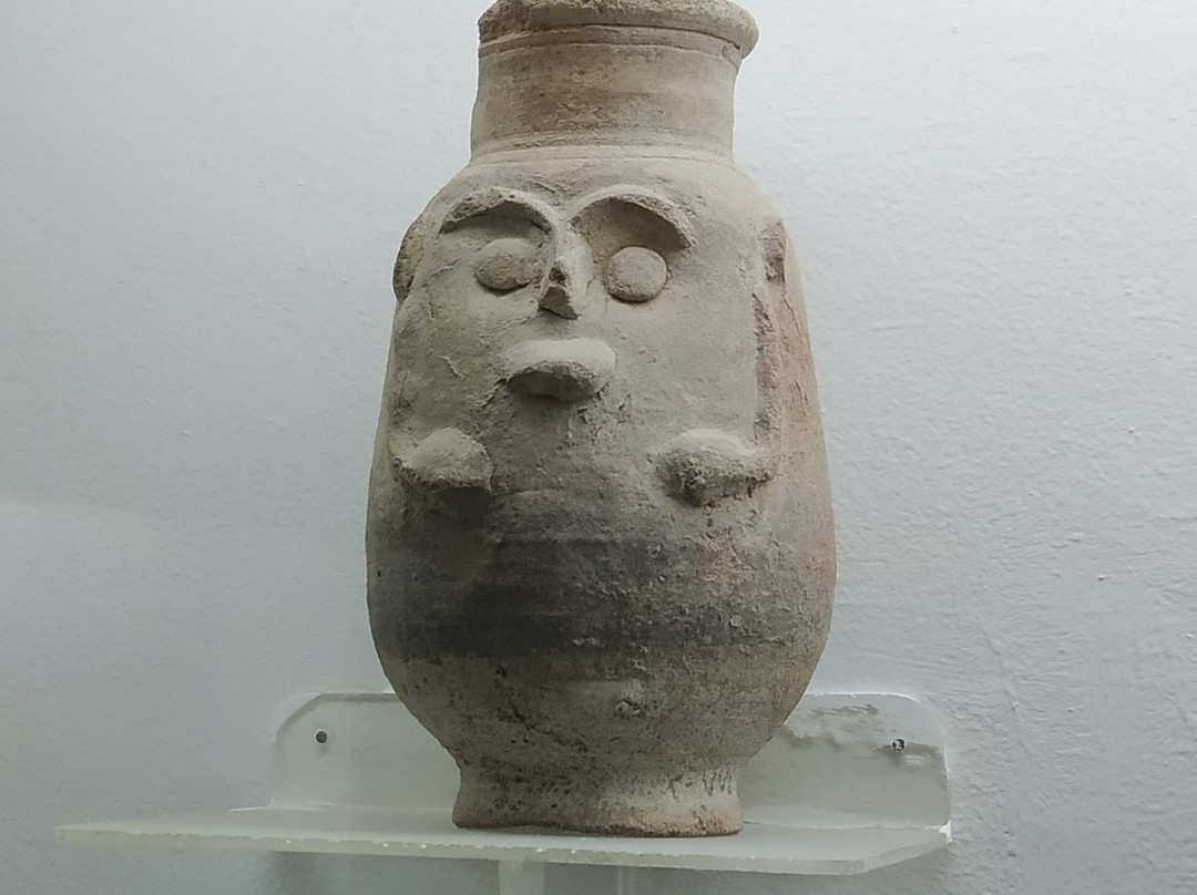 New Valley Museum-Kharga必去景点