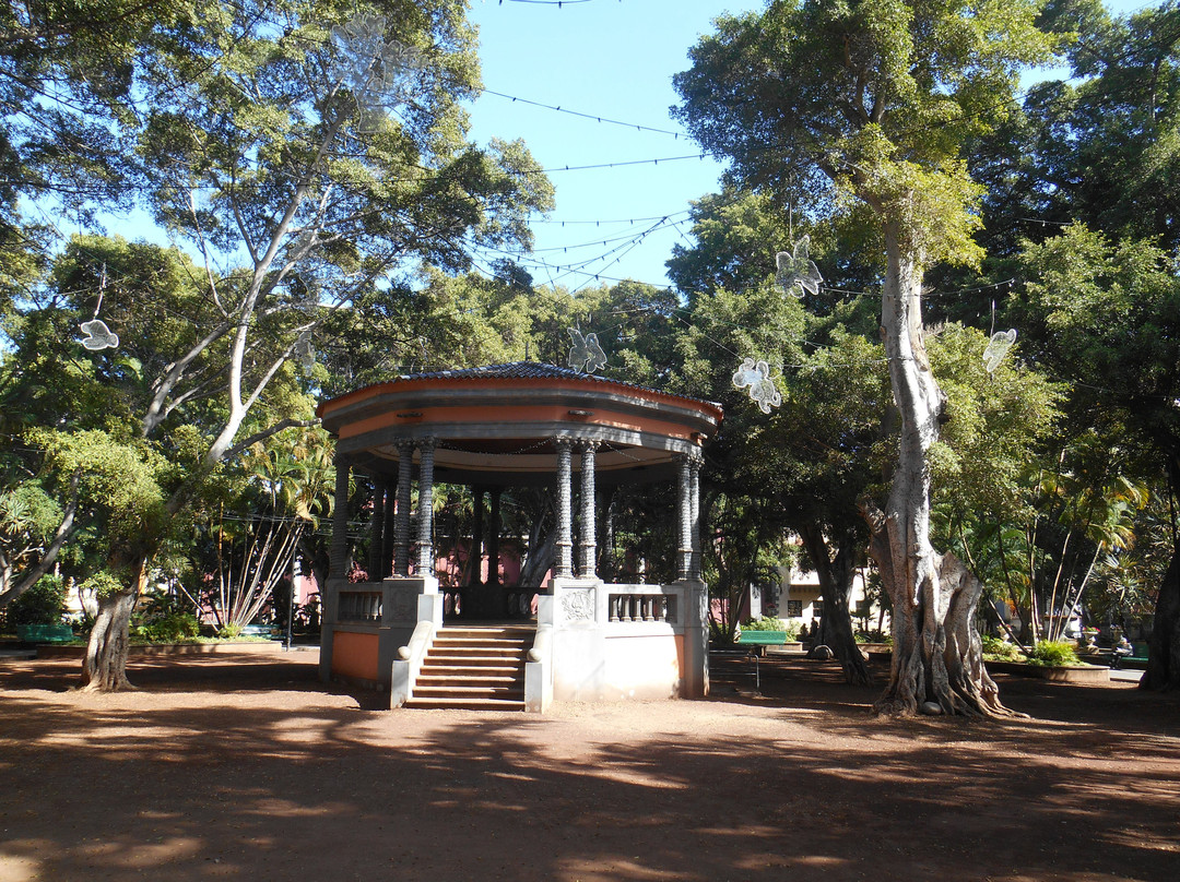 Plaza Del Principe景点图片