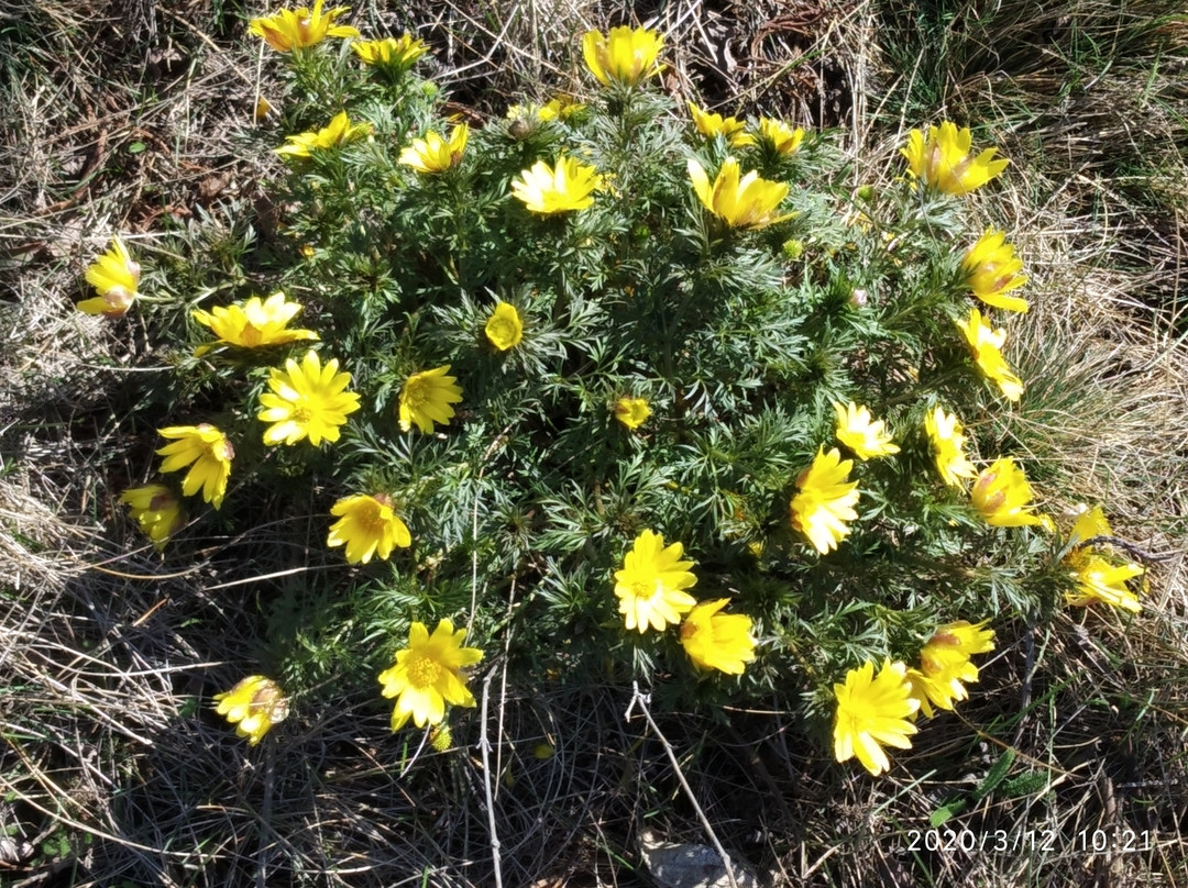 Frumushika-Nova-Starosillya必去景点