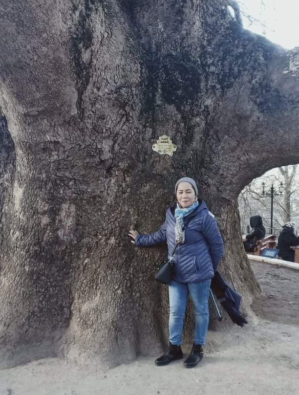 Bursa Parasut-Uludag National Park必去景点