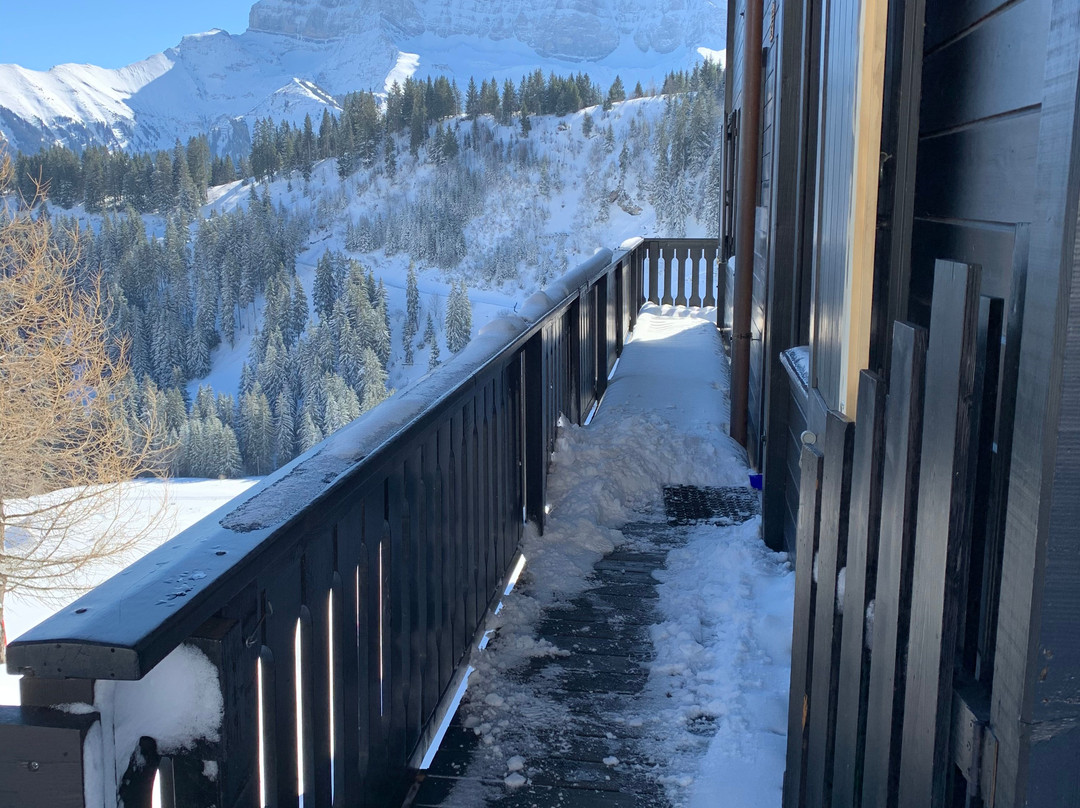 Royal Alpage Club主图