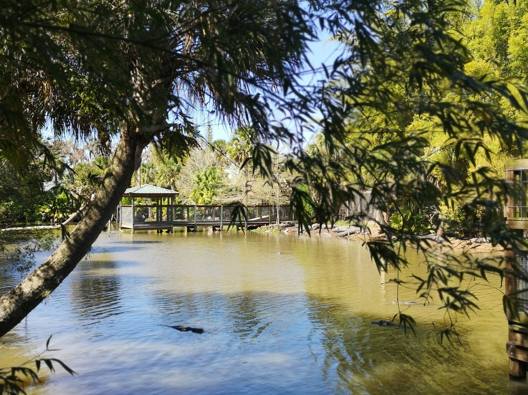 Wild Florida Airboats & Gator Park-Kenansville必去景点
