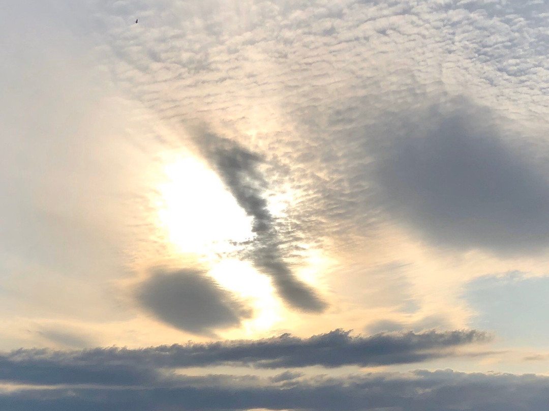 Kanaya Ocean Park-富津市必去景点