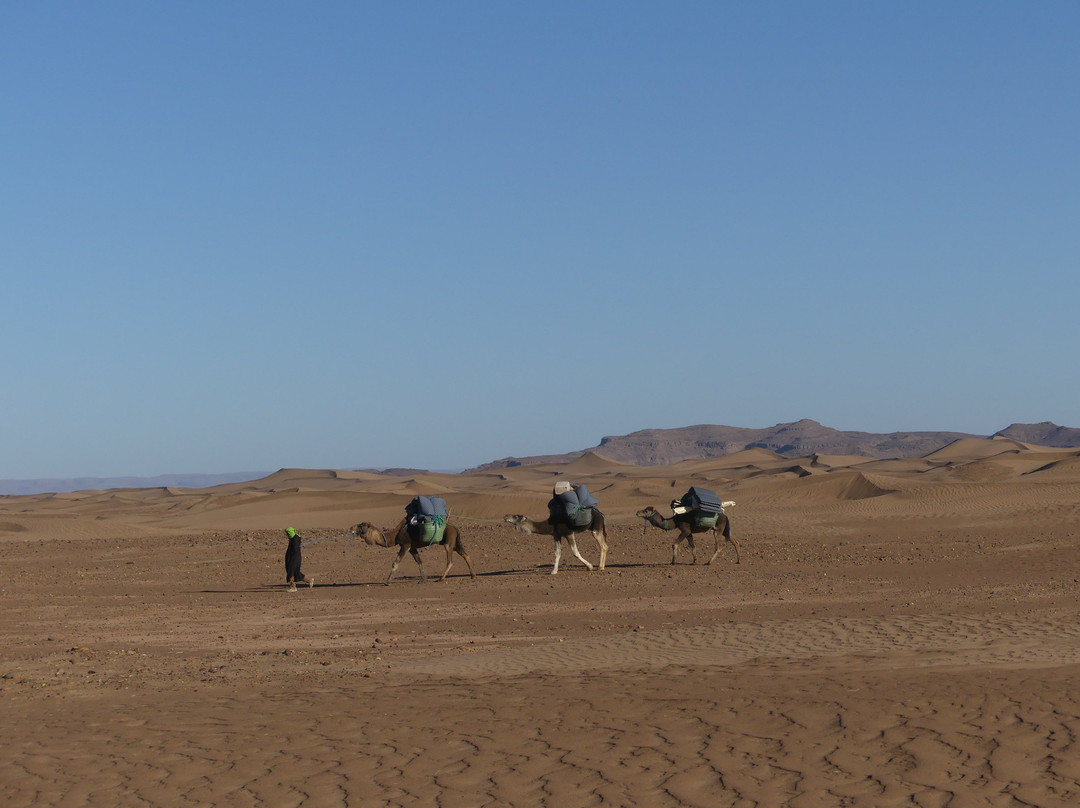 Draa Valley-扎古拉必去景点