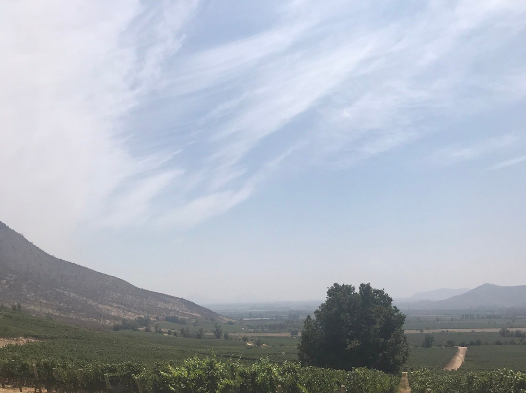 Vina San Pedro-Requinoa必去景点