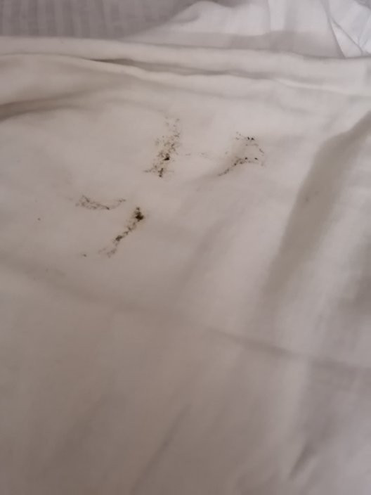 OYO 5584 Hotel Siddharth Inn主图