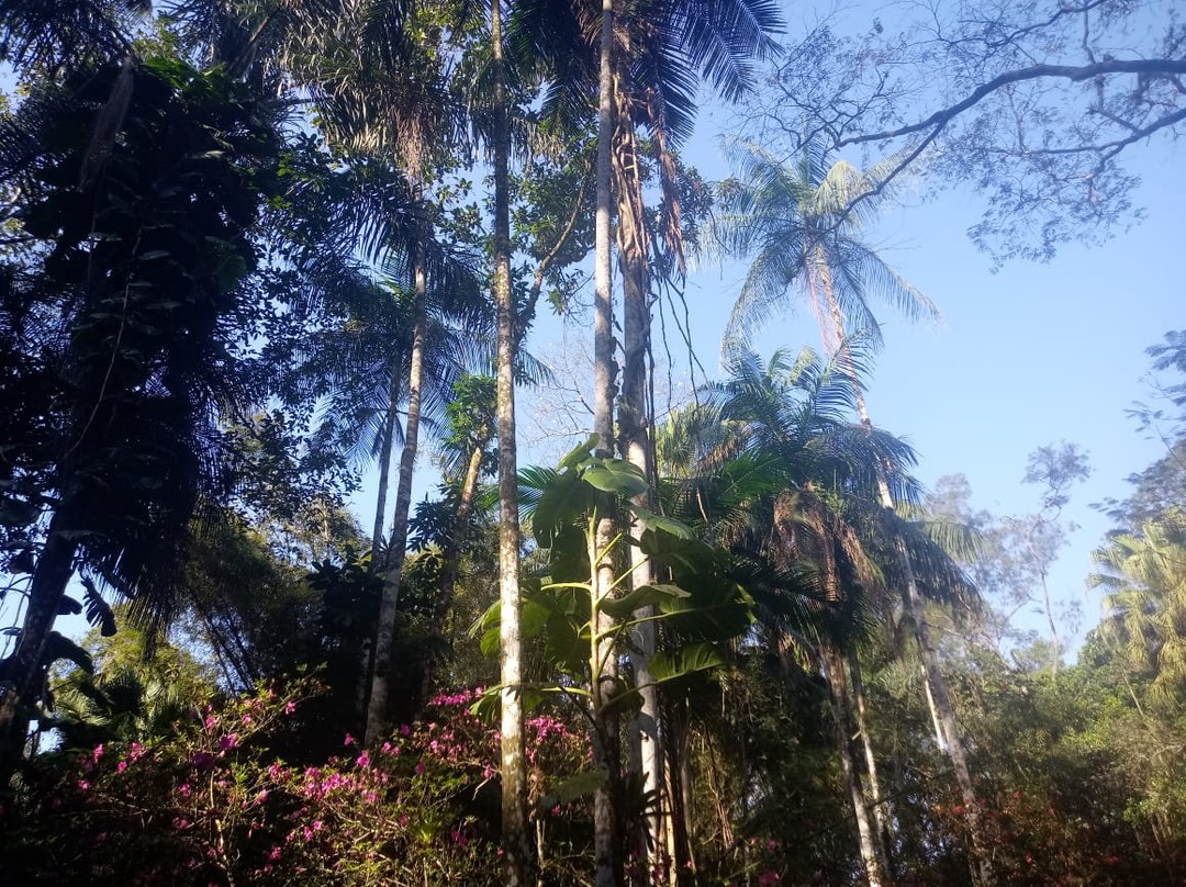 Pousada Sitio Itauna主图