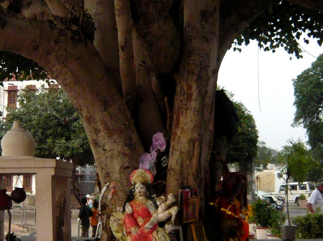 Hotel Pushkar Palace主图