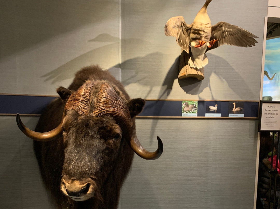 Schisler Museum of Wildlife & Natural History and McMunn Planetarium景点图片