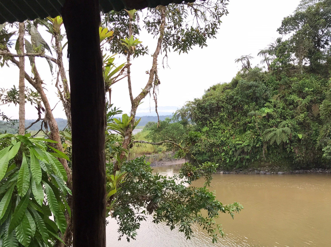 Madre Selva Tours景点图片