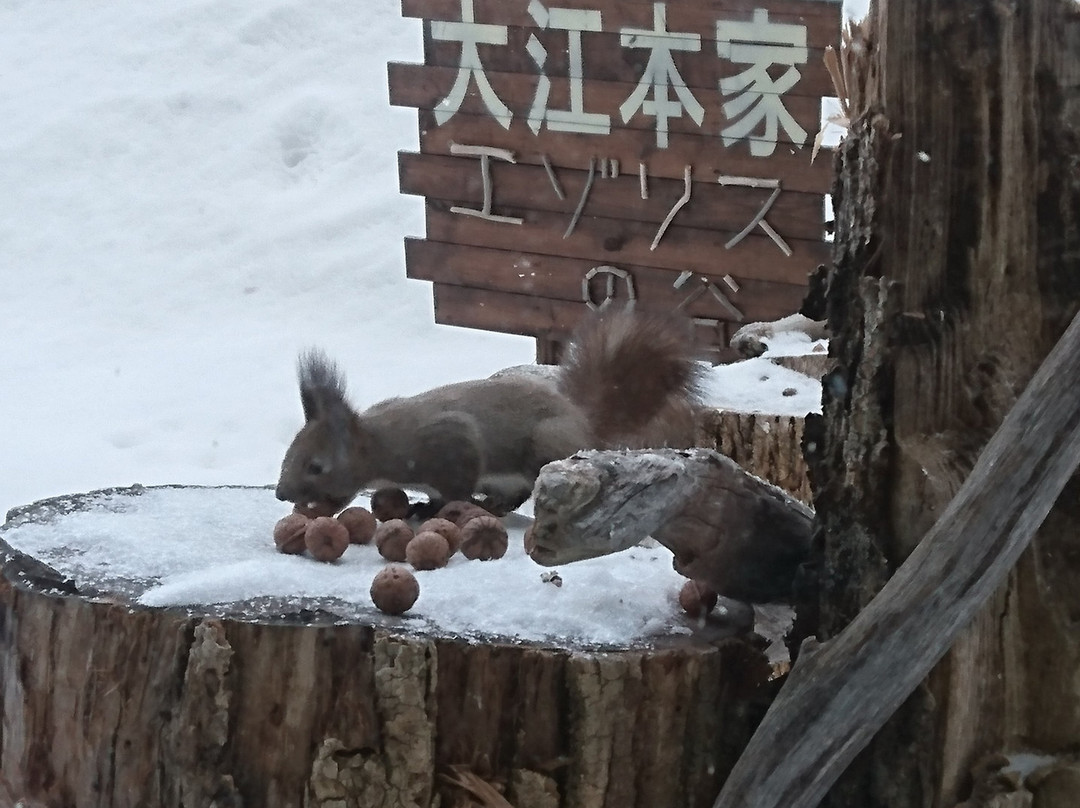 温根汤温泉 大江本家酒店主图