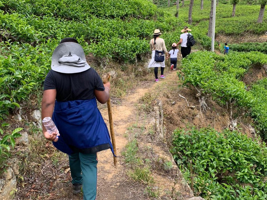 Lynford Bungalow主图