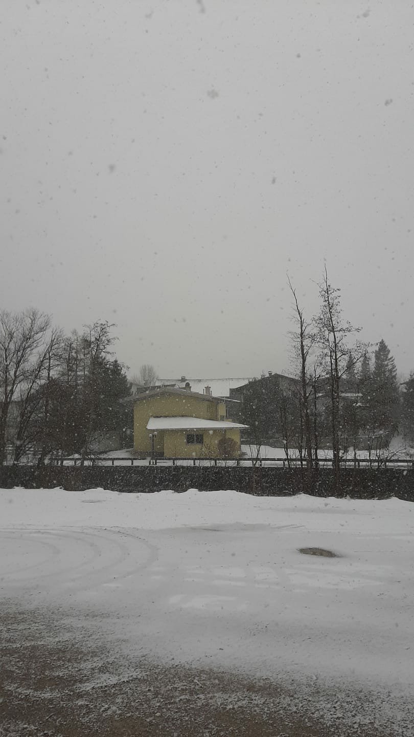 Risserhof Gasthof-官方