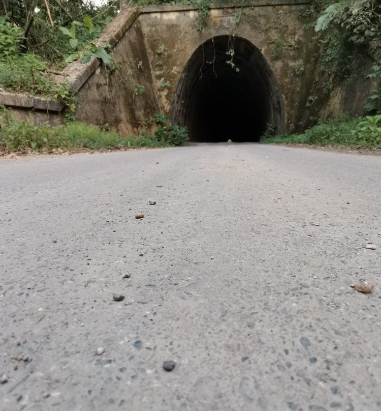 Knolley's Tunnel-Tabaquite必去景点