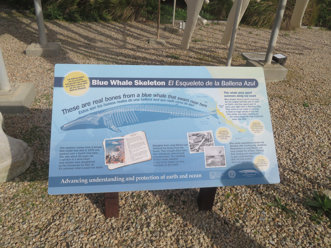 Seymour Marine Discovery Center-圣克鲁斯必去景点