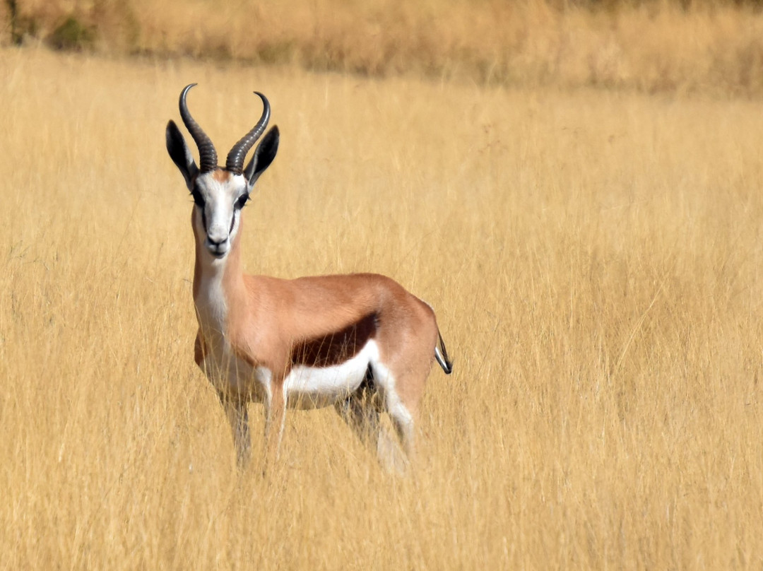 Blue Rain Guest House主图