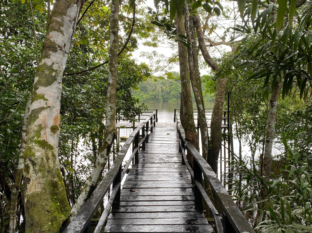 Amazon Jungle Trips景点图片