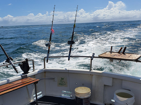 Top Gear Fishing Charters-梅因海滩必去景点