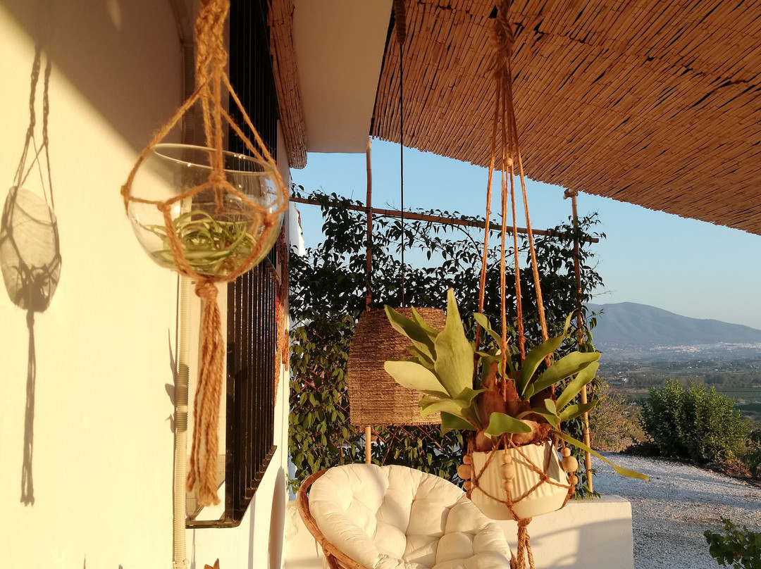 Casa De La Vida Malaga主图