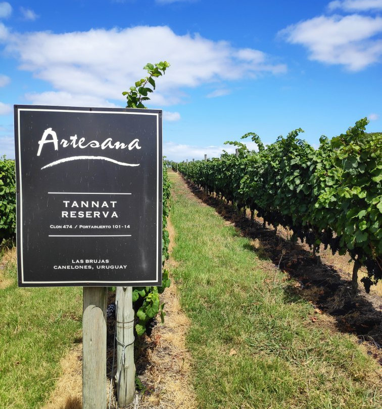 Bodega Artesana-Canelones必去景点