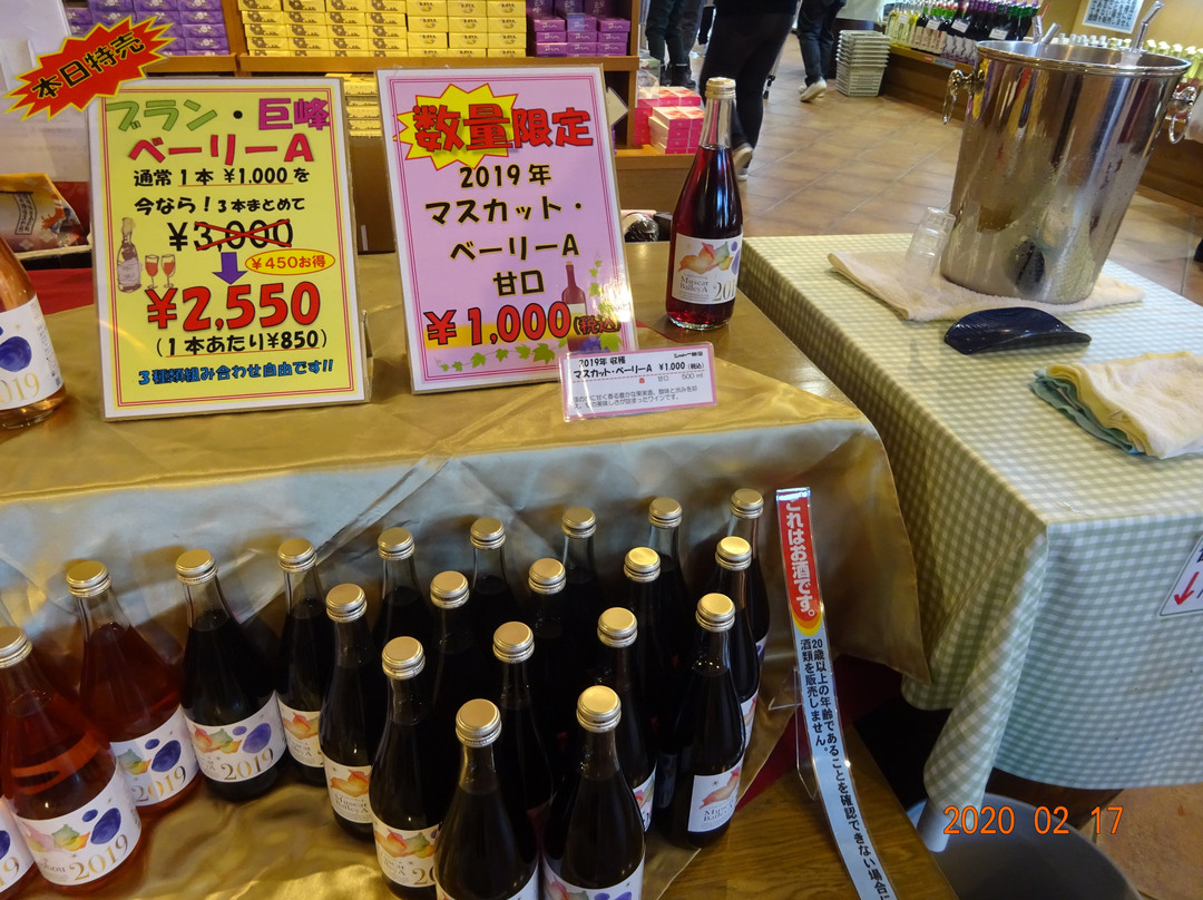 Chateau Katsunuma-甲州市必去景点