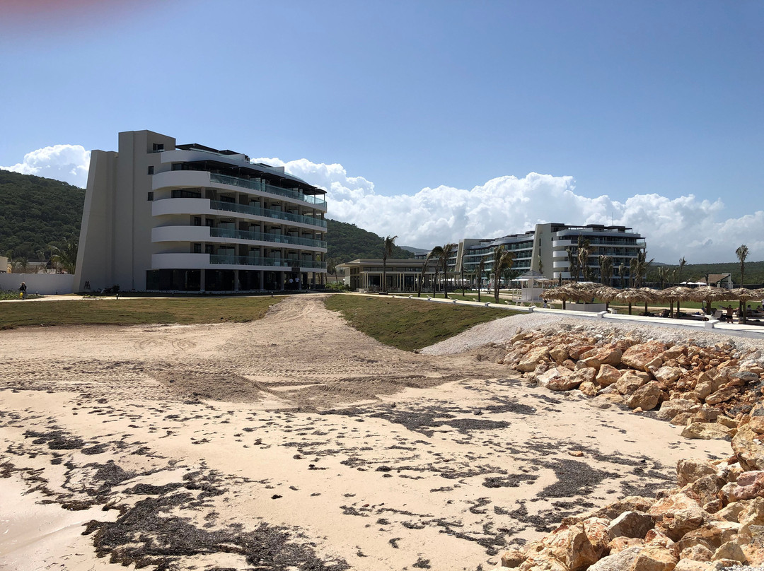 Ocean Coral Spring主图