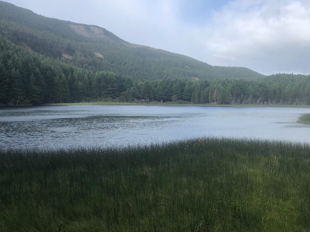 Coyhaique National Reserve-Coyhaique必去景点