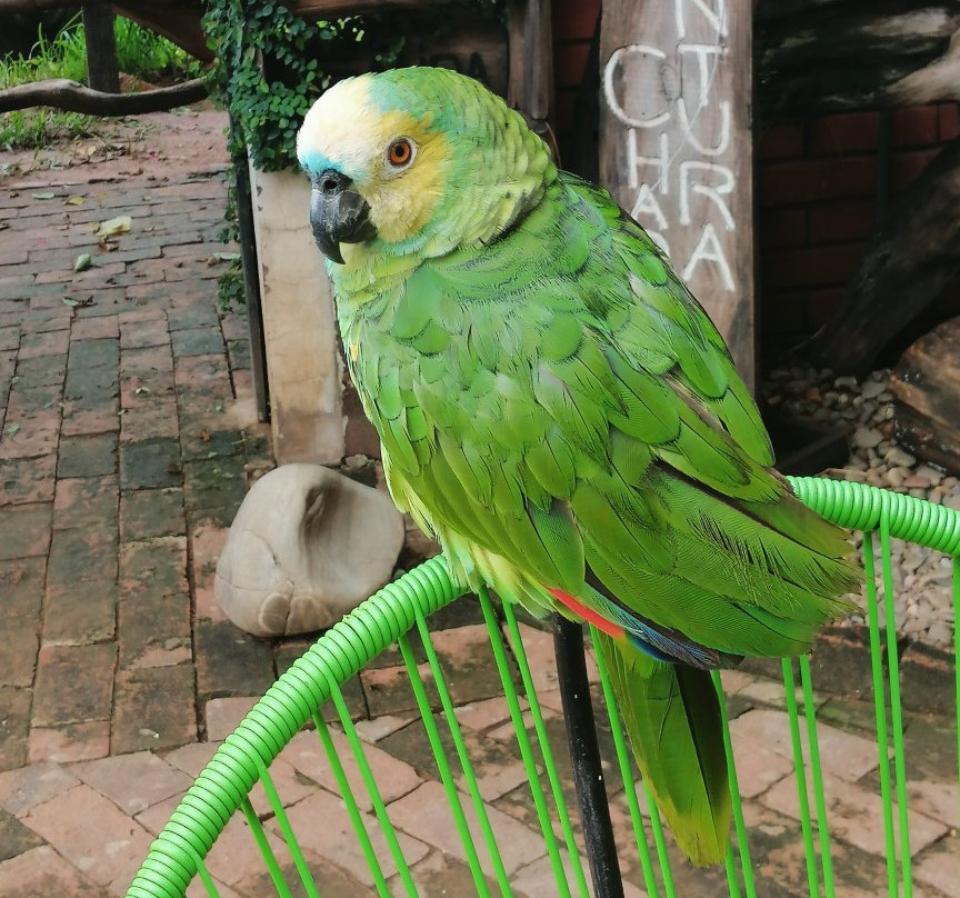 Eco Hotel Gota del Chaco主图