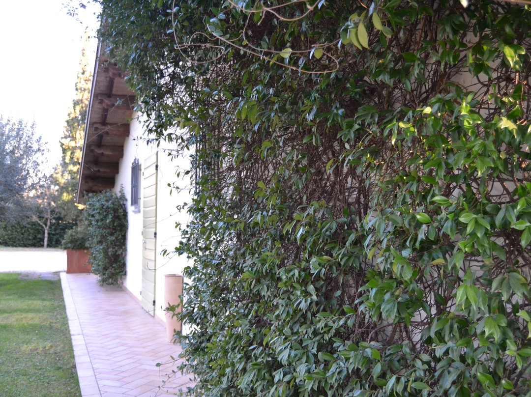 Caterina Residence Faenza主图