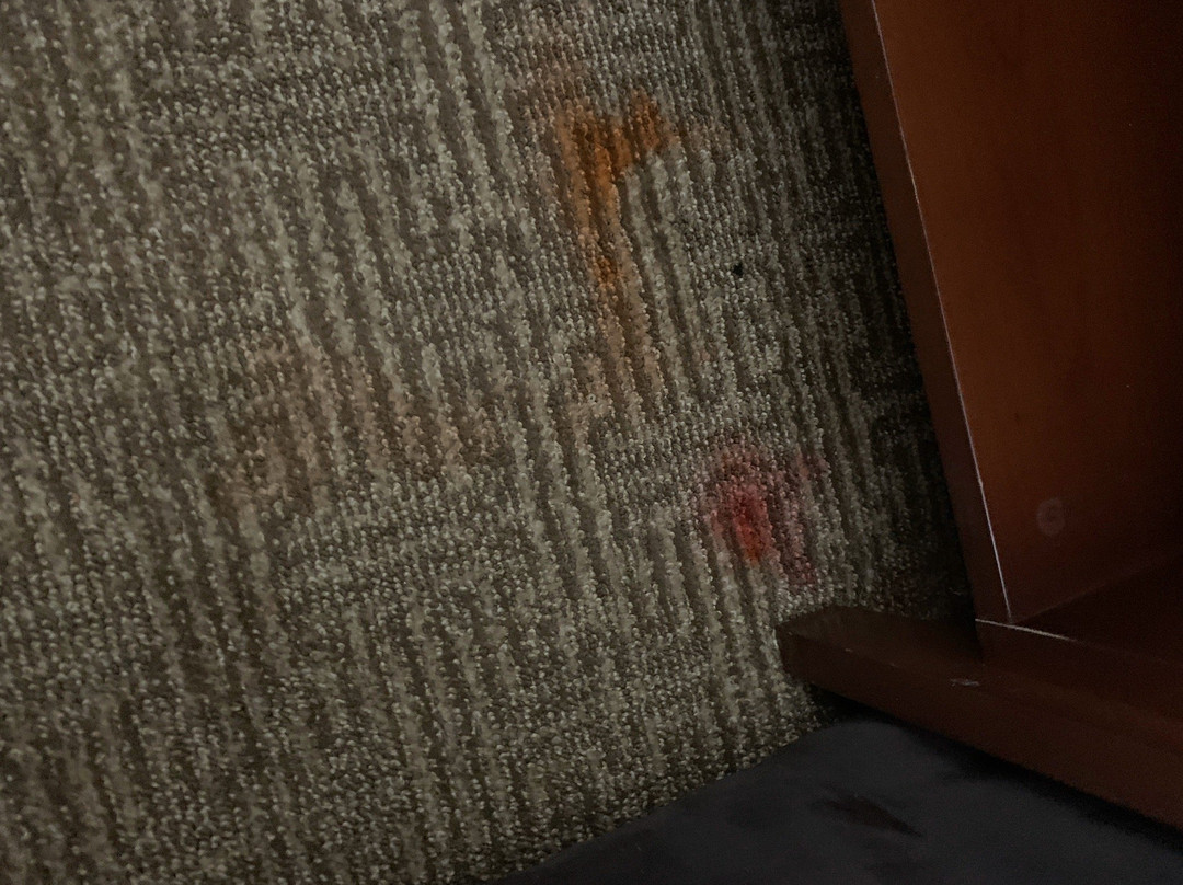 Country Inn & Suites by Radisson, Elkhart North, IN主图