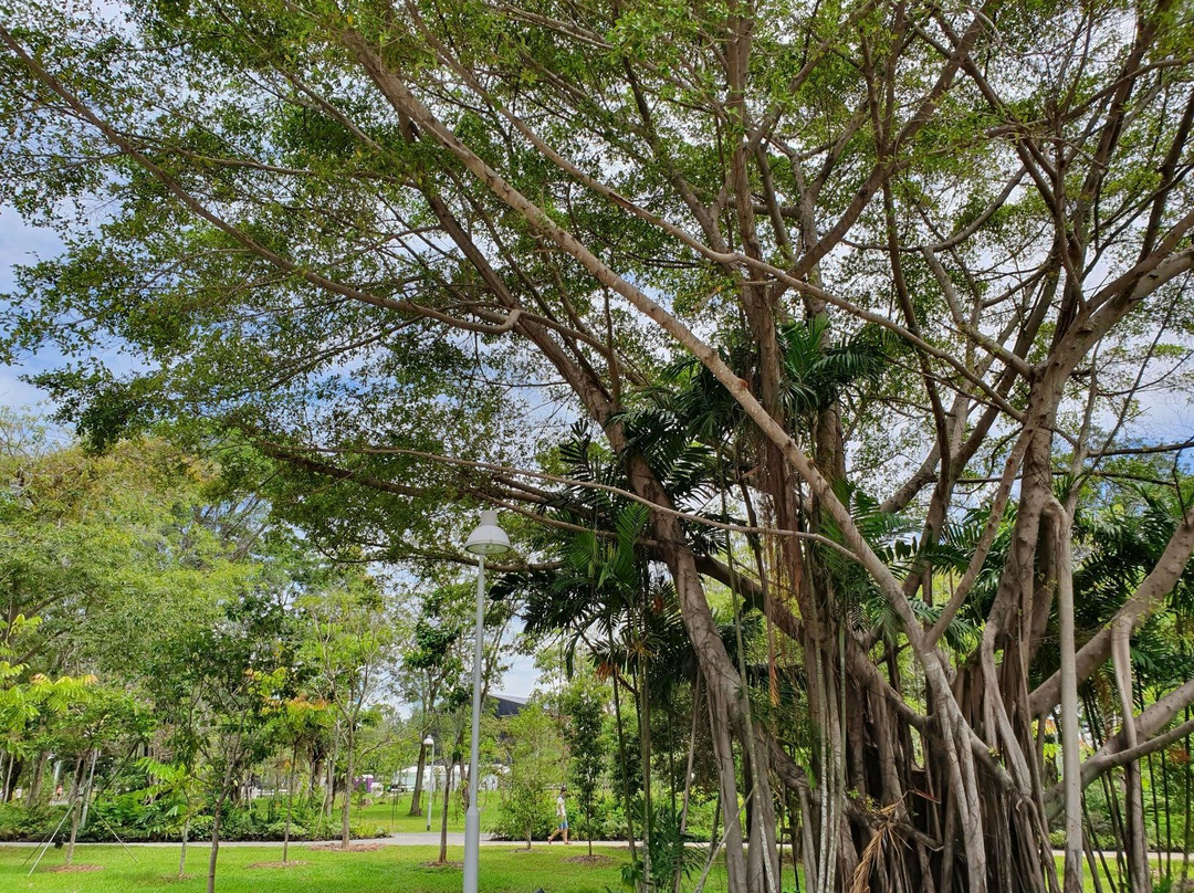 Jurong Lake Garden景点图片