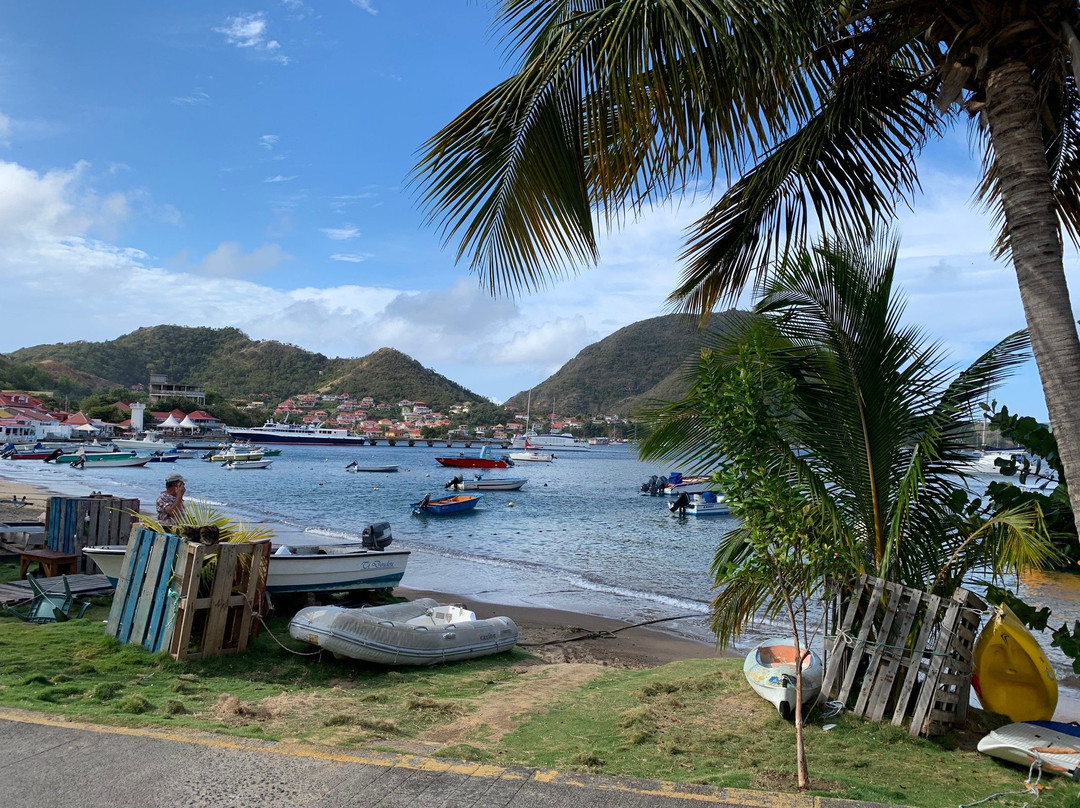 Pisquettes Plongée-Terre-de-Haut必去景点