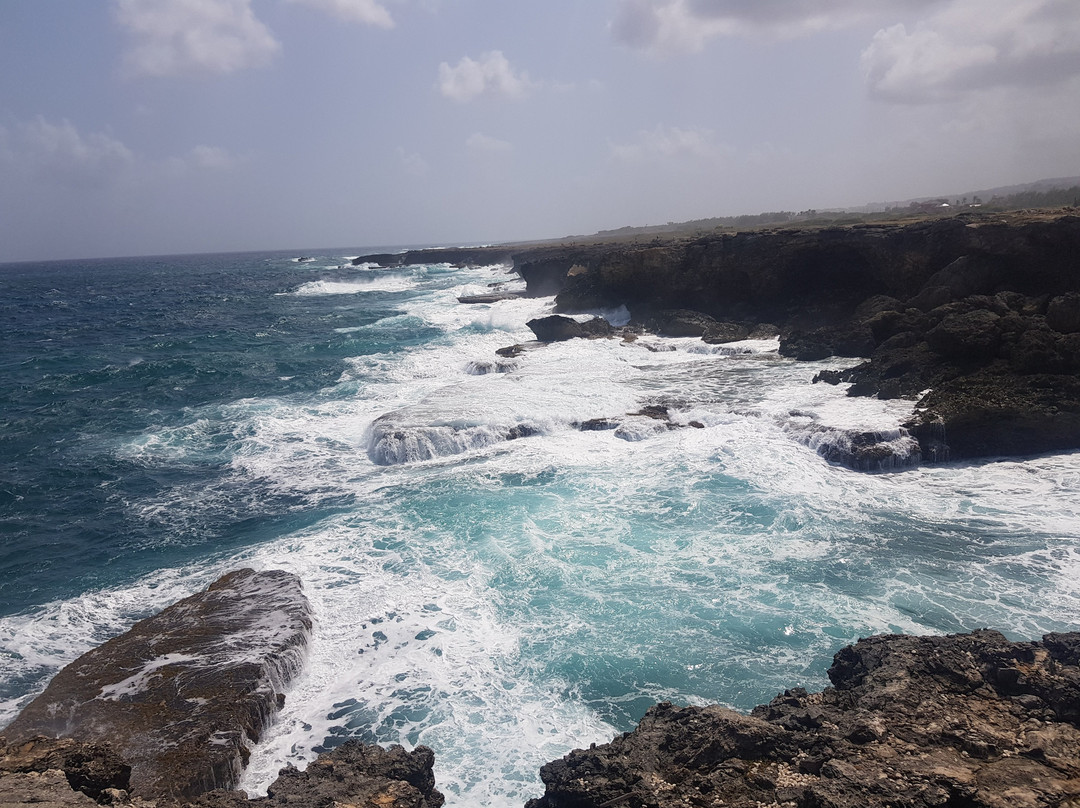 North Side旅游攻略图片