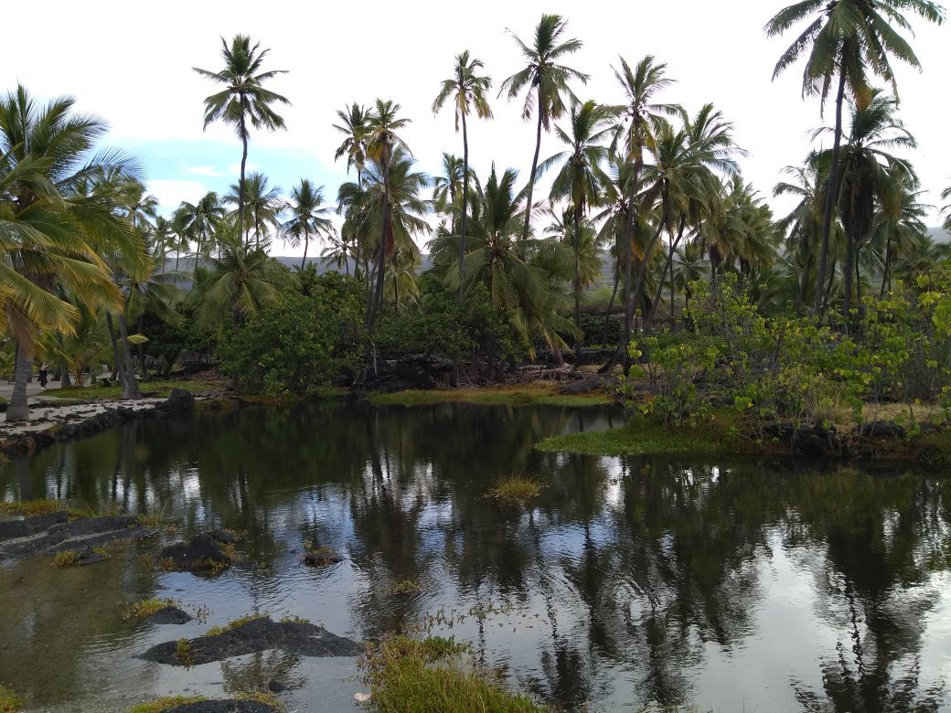 庇佑之所家庭式酒店主图