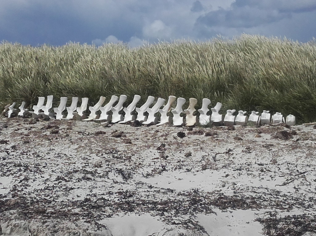 Pebble Island Lodge主图