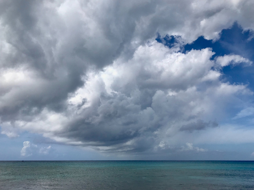 Malcolm's Road Beach-普罗维登西亚莱斯必去景点