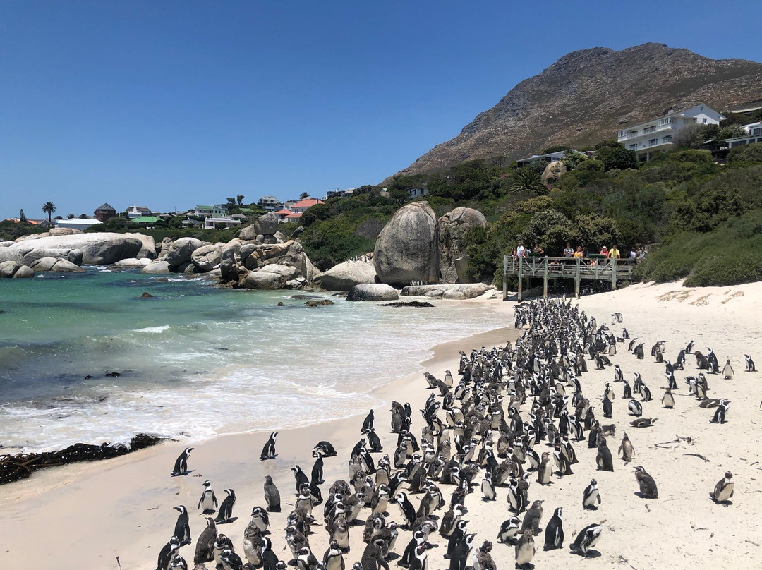 Good Times In Cape Town-开普敦中心区必去景点