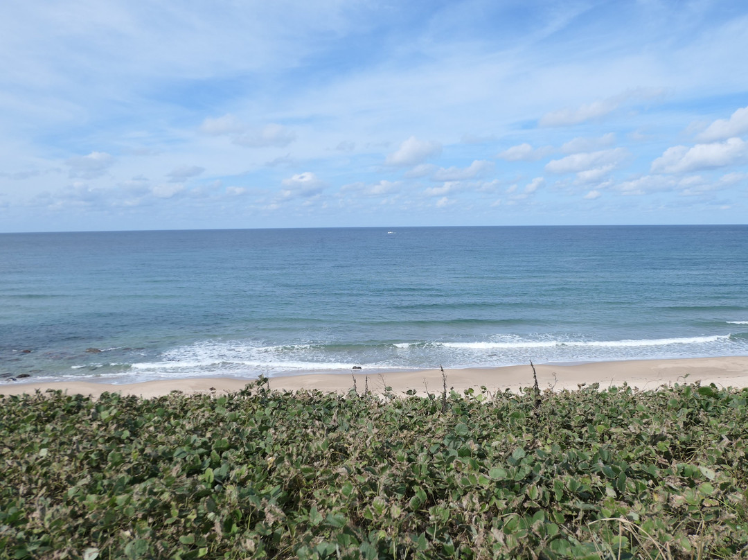 Kotogahama Beach景点图片