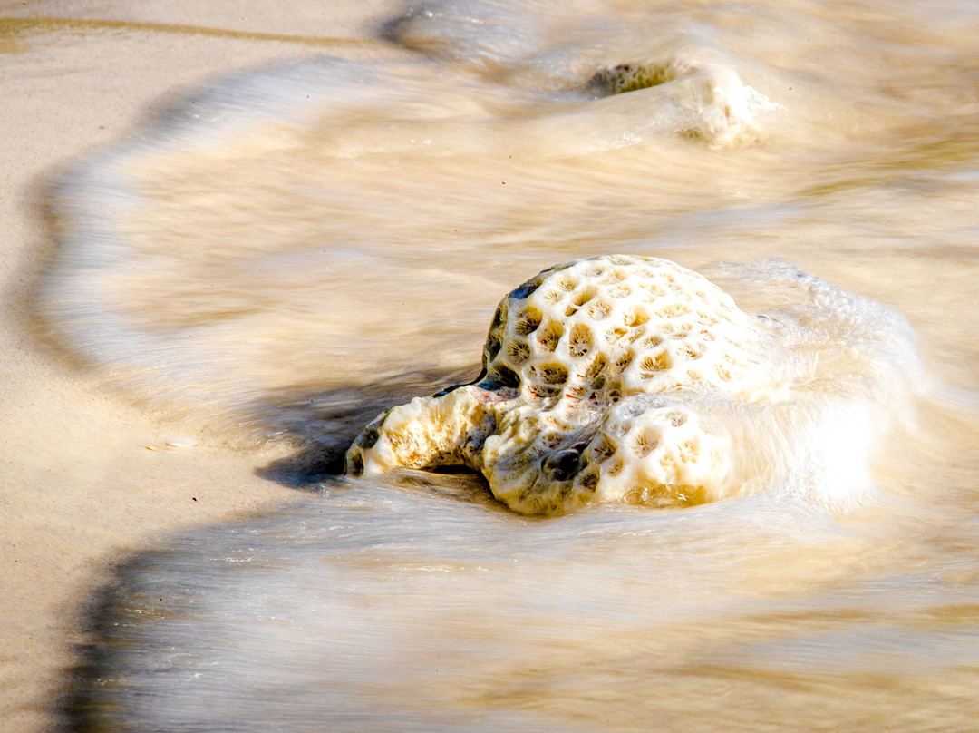 Pianemo Islands-四王岛必去景点