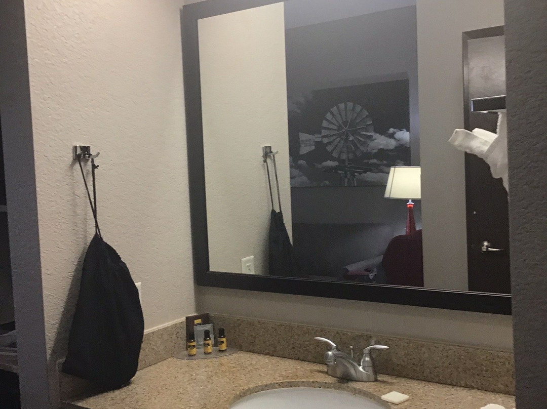 Best Western Plus University Inn & Suites主图