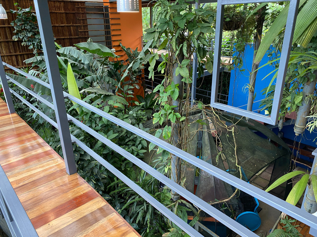 Celeste Mountain Lodge主图